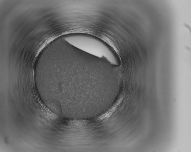 X0000096480781200802141721