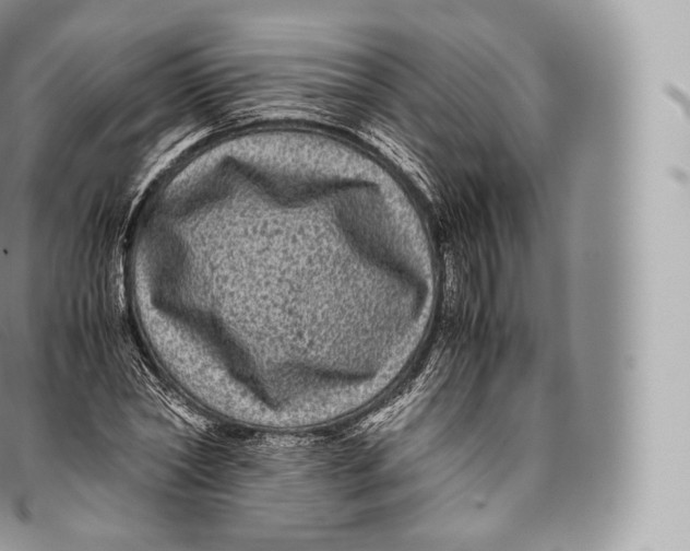 X0000096480782200802141721