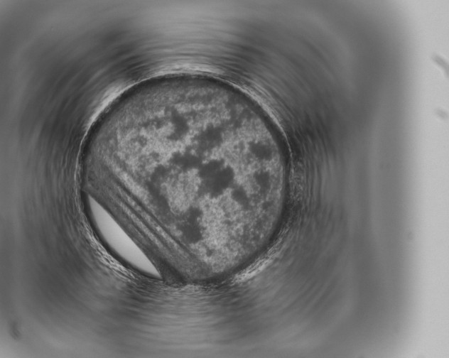 X0000096480783200802141720