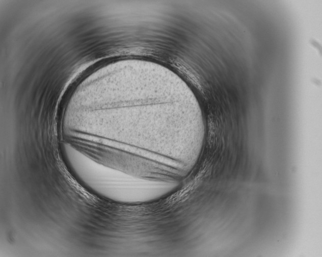 X0000096480784200802141720