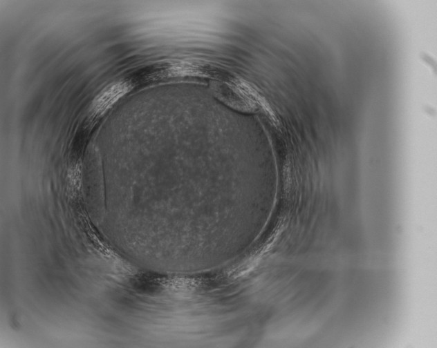 X0000096480785200802141720