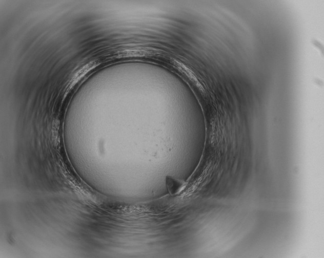 X0000096480786200802141720