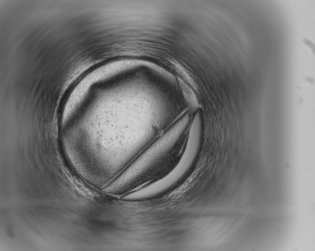 X0000096480787200802141720