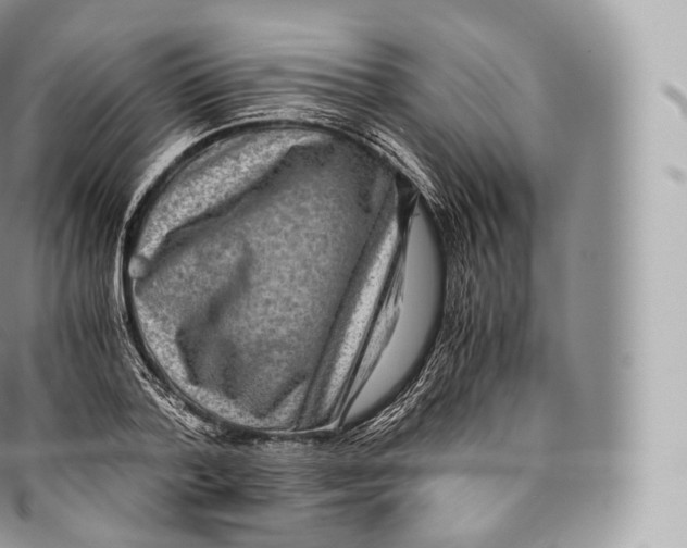 X0000096480788200802141720