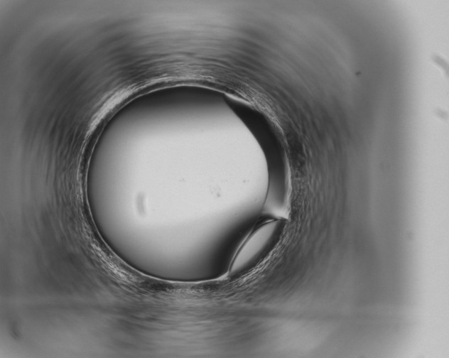 X0000096480789200802141720