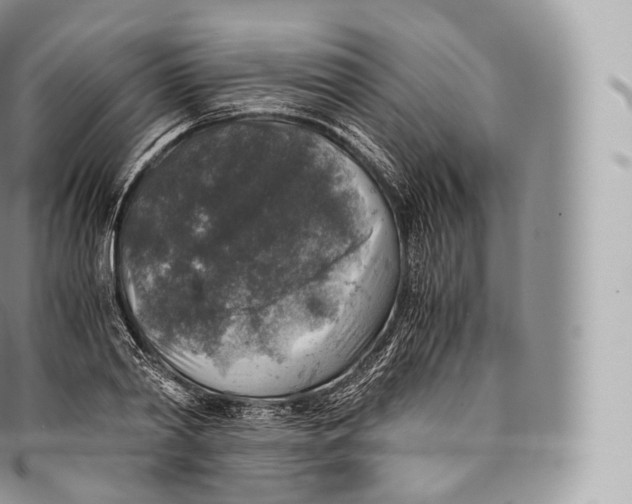 X0000096480790200802141720