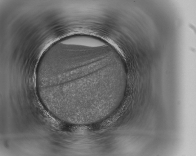 X0000096480791200802141720