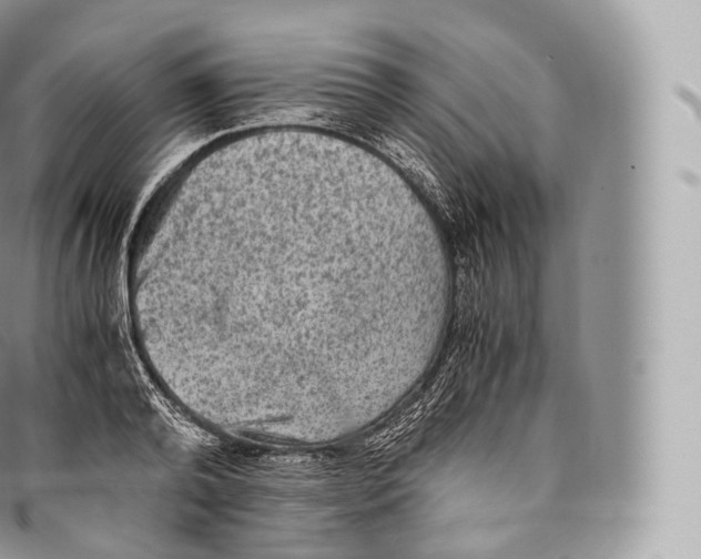 X0000096480792200802141720