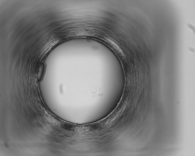 X0000096480793200802141720