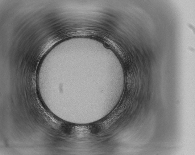 X0000096480794200802141720