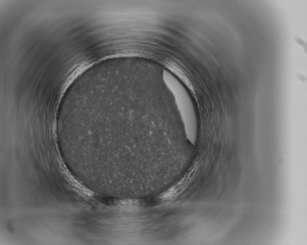 X0000096480797200802141720