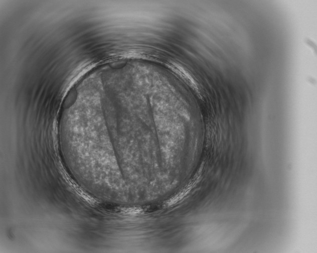 X0000096480798200802141720