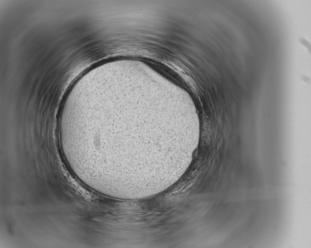 X0000096480799200802141720