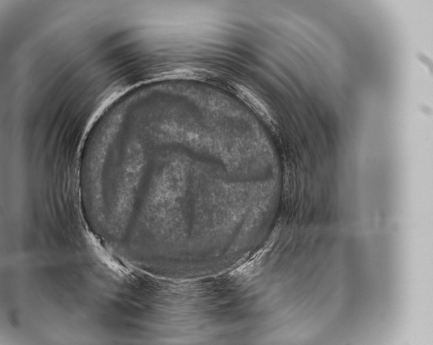 X0000096480800200802141720