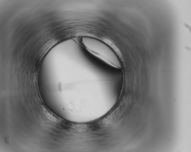 X0000096480801200802141720