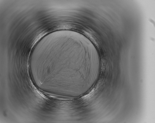 X0000096480802200802141720