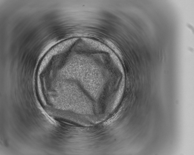 X0000096480803200802141720