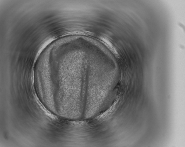 X0000096480804200802141720