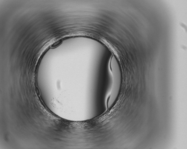 X0000096480805200802141720