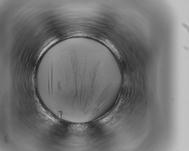 X0000096480806200802141720