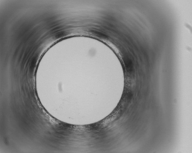 X0000096480807200802141720