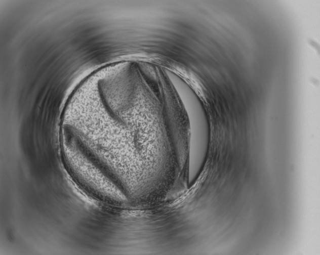 X0000096480808200802141720