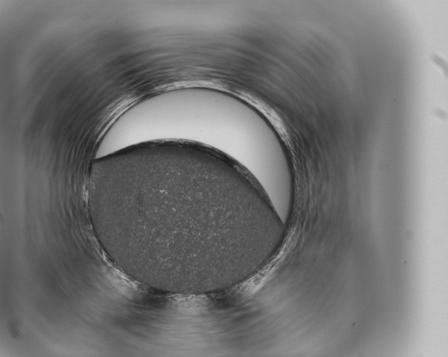 X0000096480809200802141720