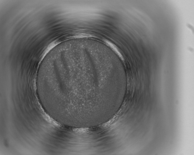 X0000096480810200802141720