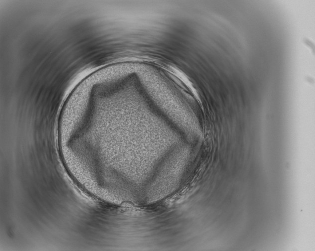 X0000096480811200802141720