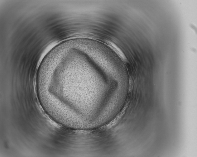 X0000096480812200802141720