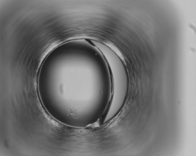 X0000096480813200802141720