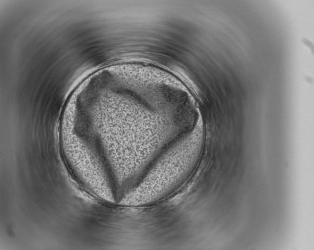 X0000096480814200802141720