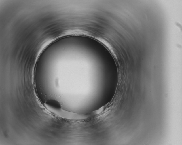 X0000096480815200802141720