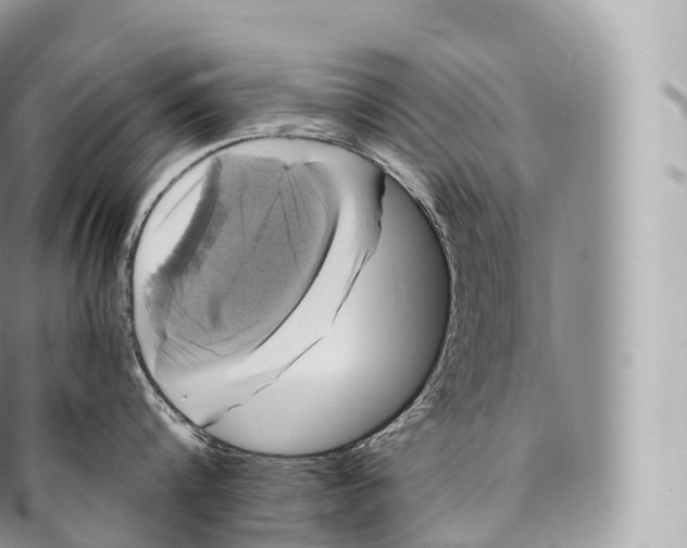 X0000096480816200802141720