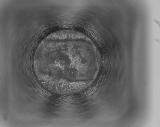 X0000096480817200802141719