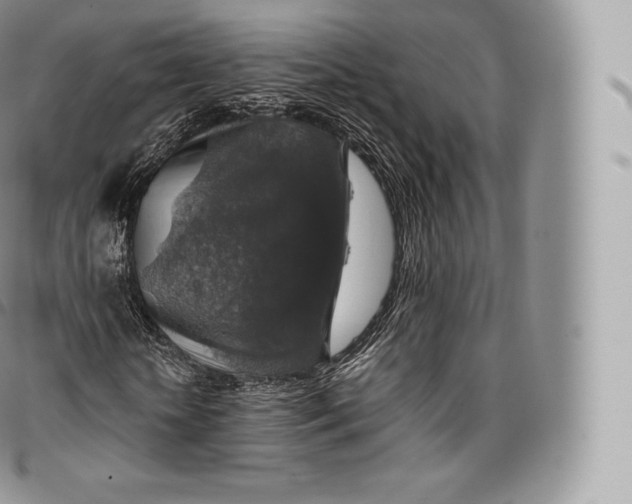 X0000096480818200802141719