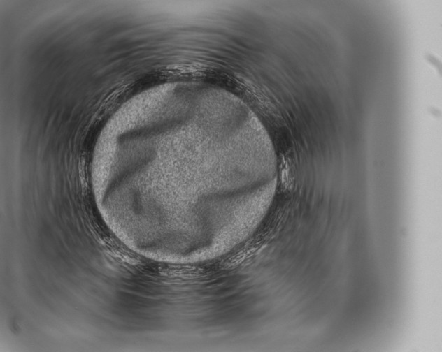 X0000096480819200802141719