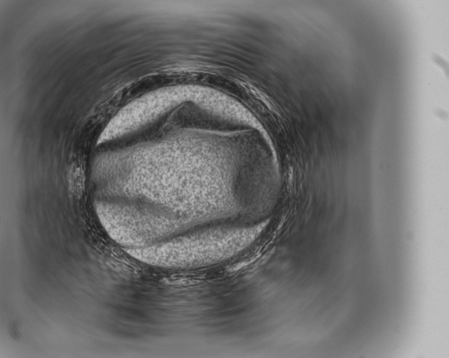 X0000096480821200802141719