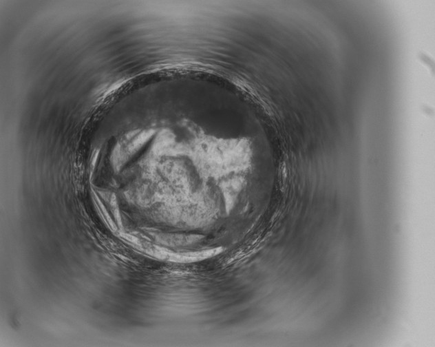 X0000096480822200802141719