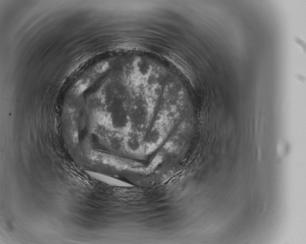 X0000096480823200802141719