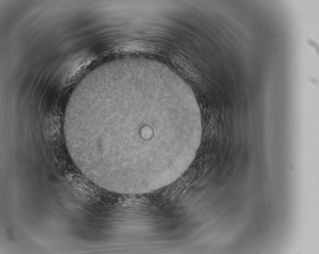 X0000096480824200802141719