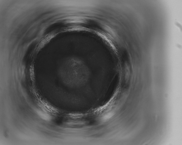 X0000096480825200802141719