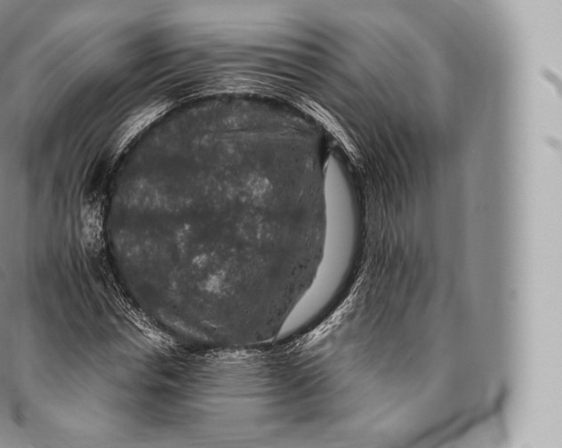 X0000096480826200802141720