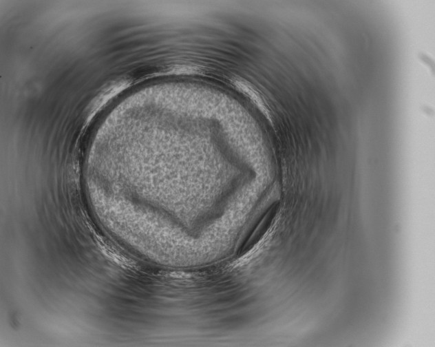 X0000096480827200802141720