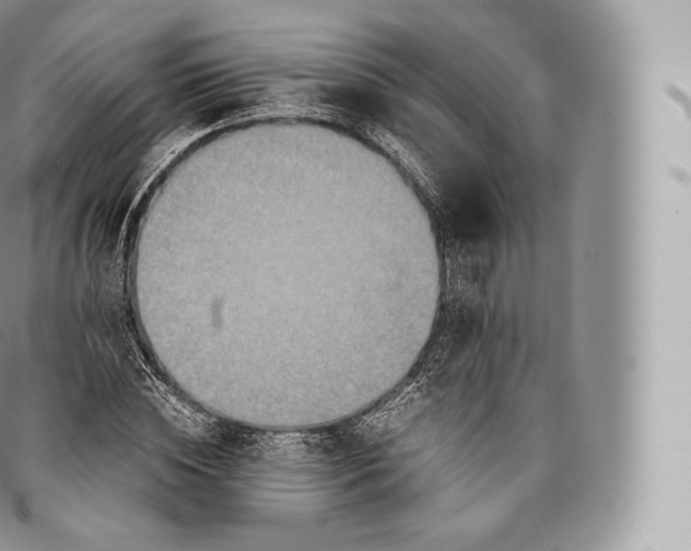 X0000096480828200802141720