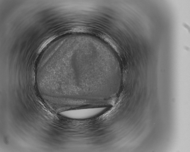 X0000096480829200802141720