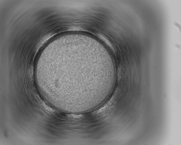 X0000096480831200802141720