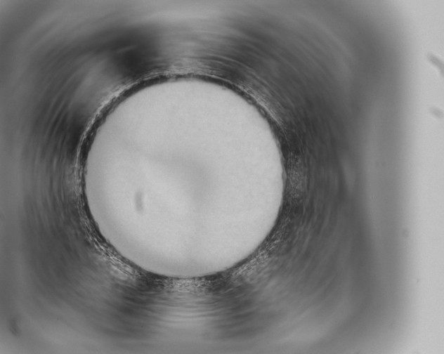 X0000096480832200802141720