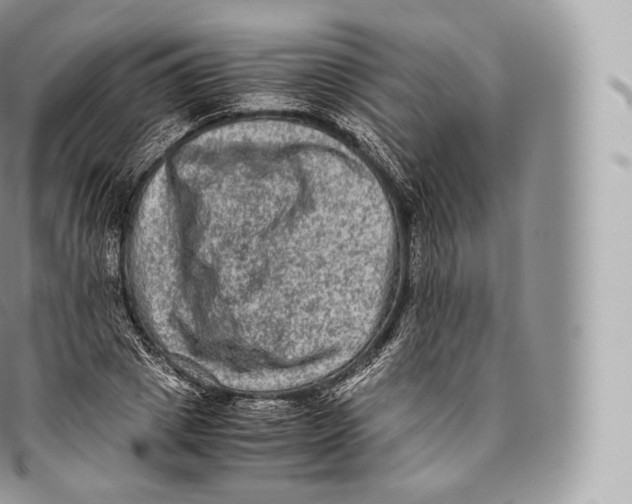 X0000096480833200802141720