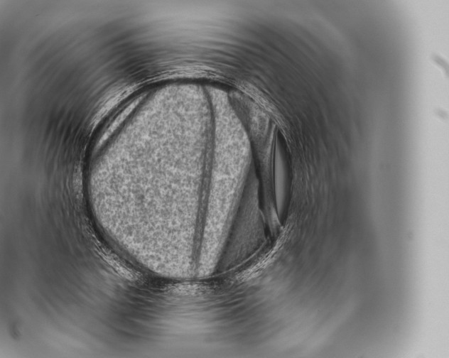 X0000096480834200802141720